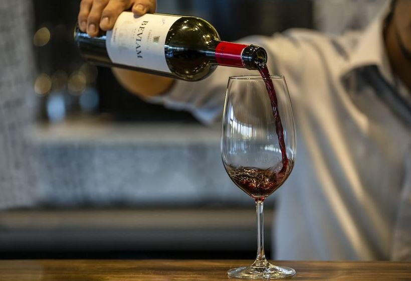 בית מלון כפרי Ibis Mendoza