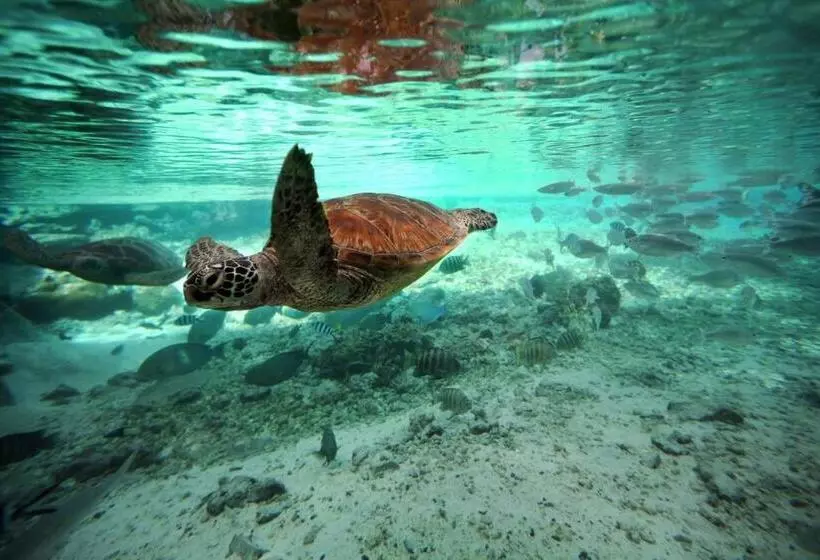 هتل Westin Bora Bora Resort & Spa