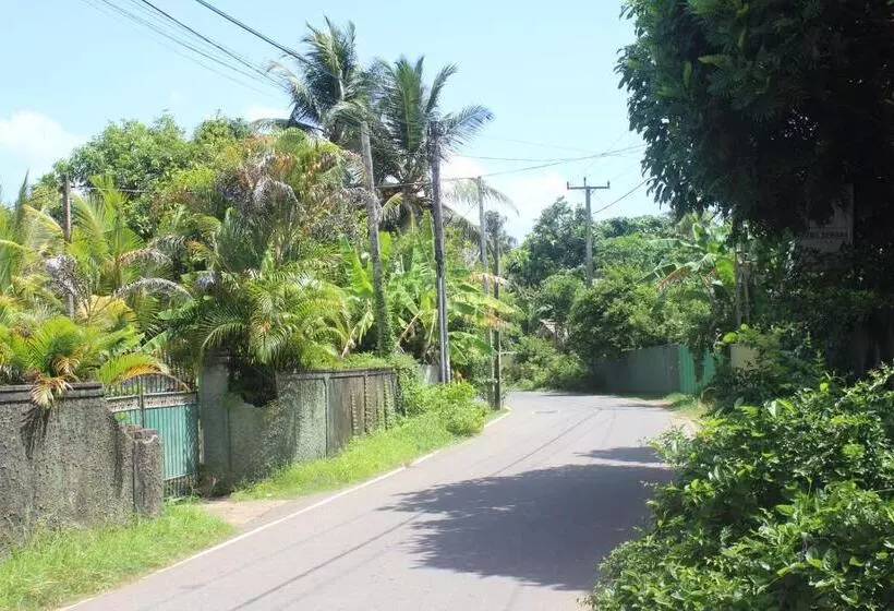 ユースホステル White Elephant Villa & Restaurant