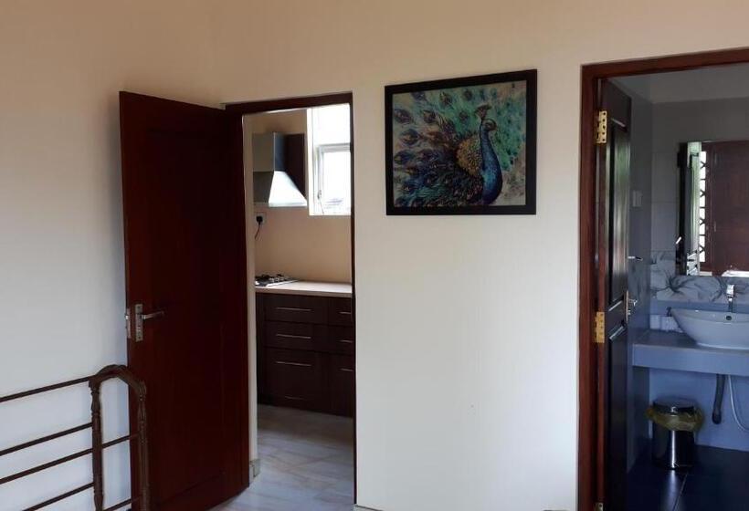 旅馆 White Elephant Villa & Restaurant