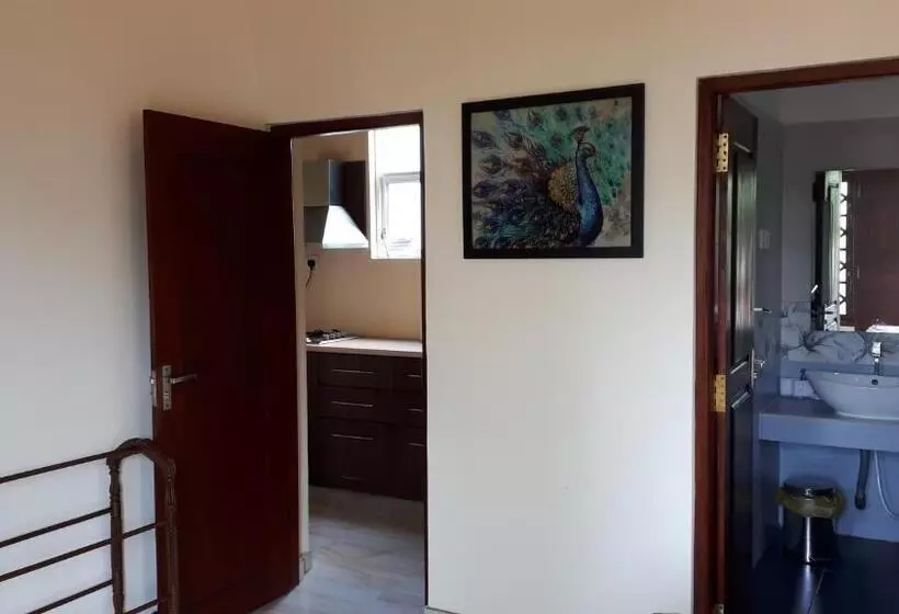 ユースホステル White Elephant Villa & Restaurant