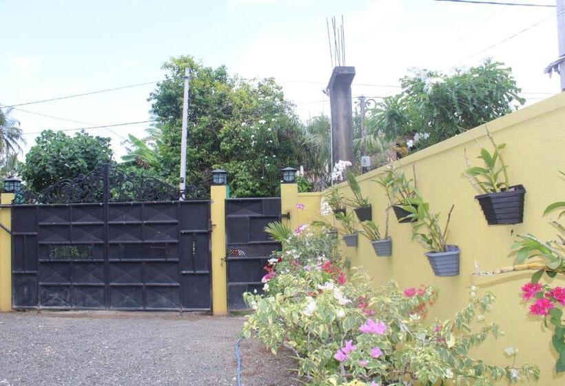 旅馆 White Elephant Villa & Restaurant