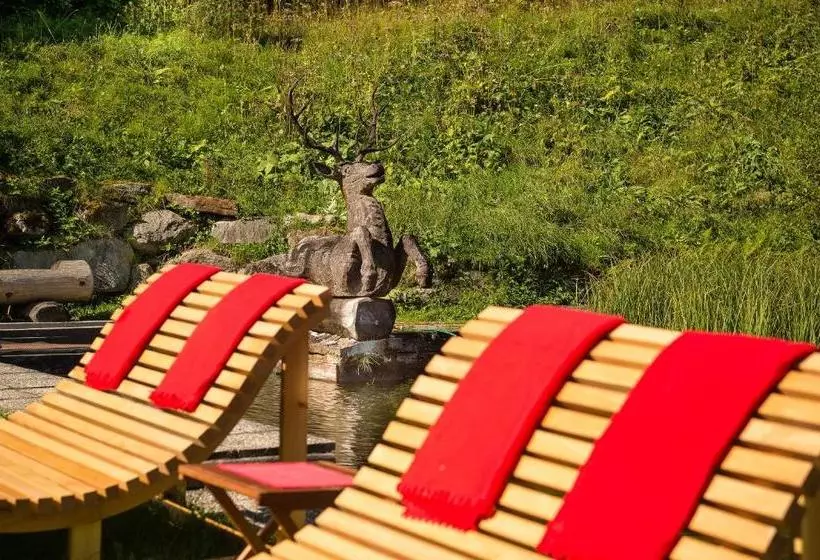 پانسیون Mondi Bellevue Alm Gastein