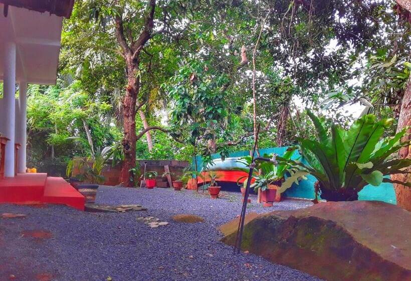 Pension Sasaa Guest House