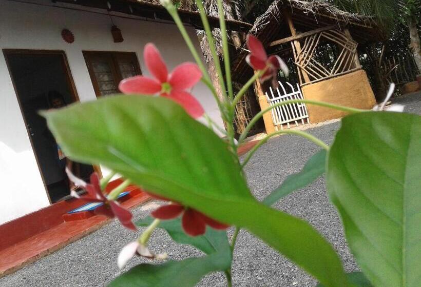 Pension Sasaa Guest House