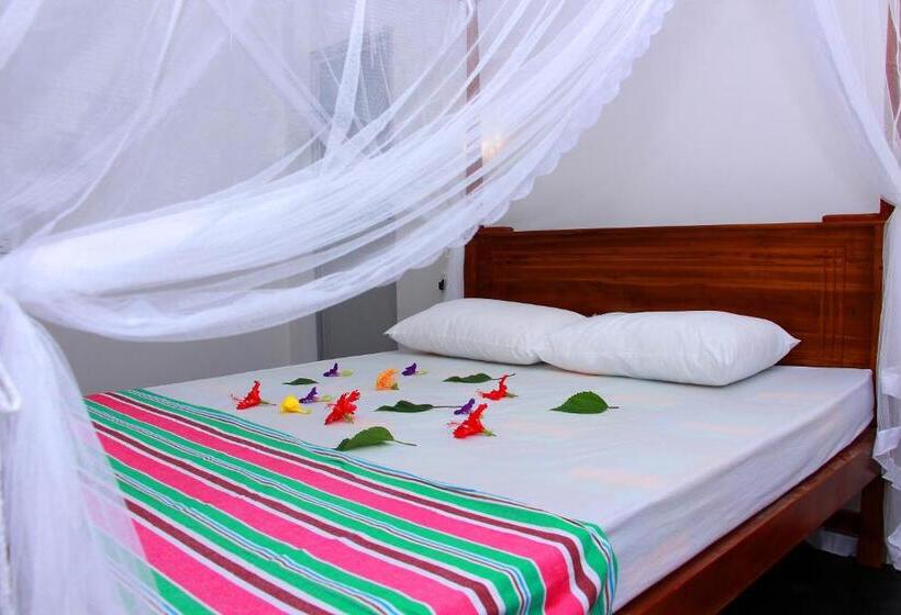 Pension Sasaa Guest House