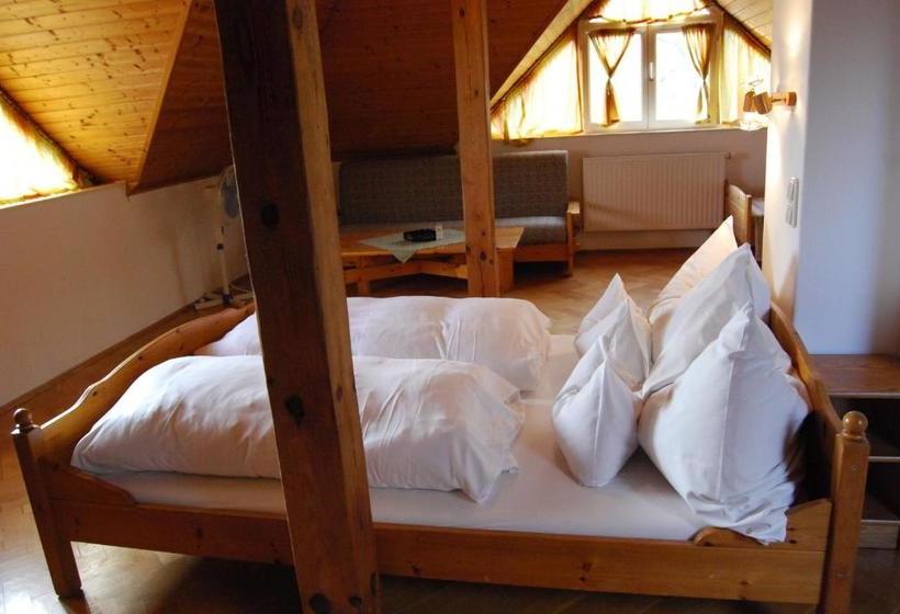 Пансион Boróka Apartmanházak   Fagyöngy House