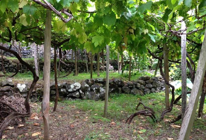 ペンション Holidays Madeira