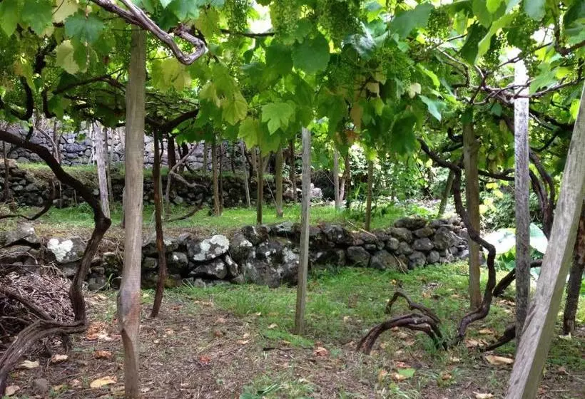 Majatalo Holidays Madeira