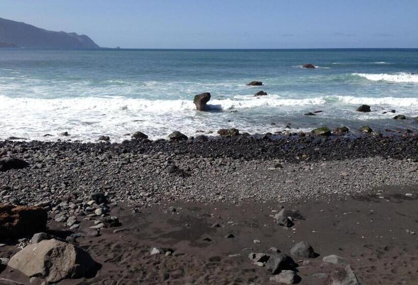 ペンション Holidays Madeira