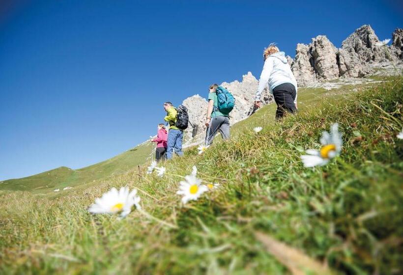 بنسيون Kedul Lodge