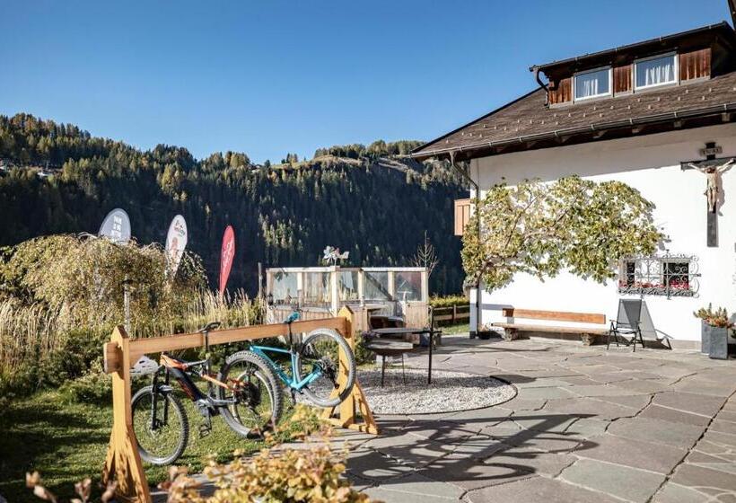 بنسيون Kedul Lodge