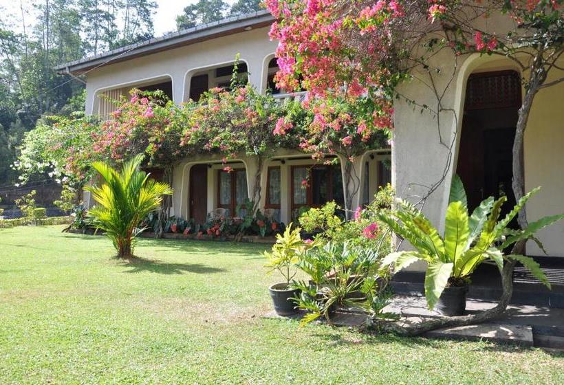 膳宿费 Royal Tourist Lodge