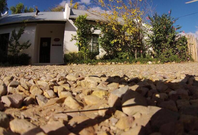 بنسيون The Olive Thrush Cottage