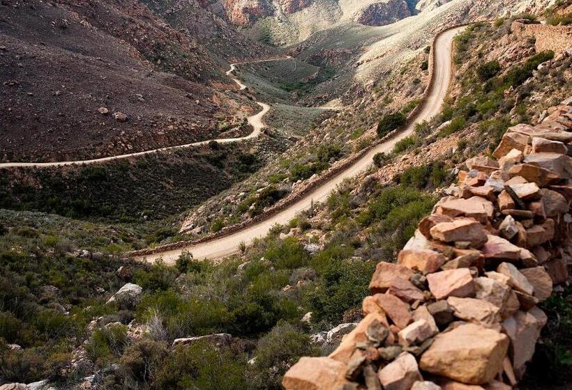 بنسيون The Olive Thrush Cottage