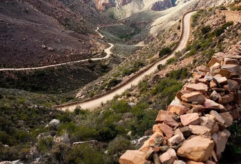 Majatalo The Olive Thrush Cottage
