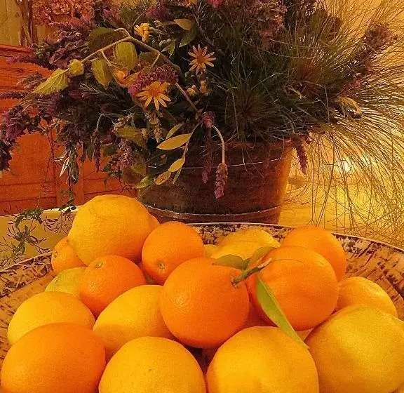 Majatalo The Olive Thrush Cottage