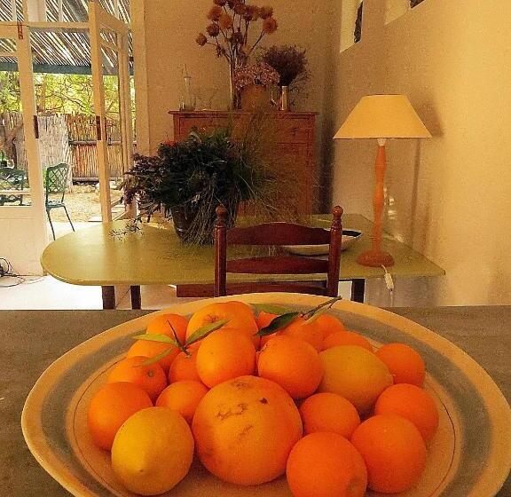 بنسيون The Olive Thrush Cottage