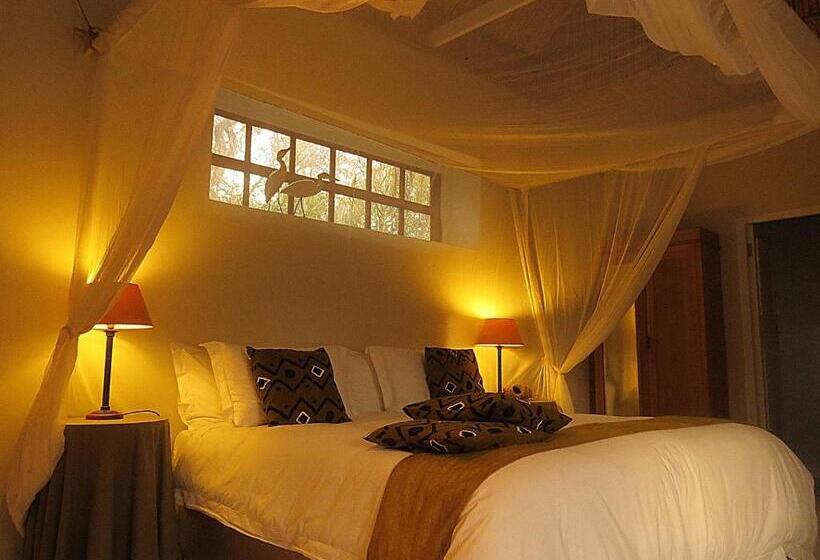بنسيون The Olive Thrush Cottage