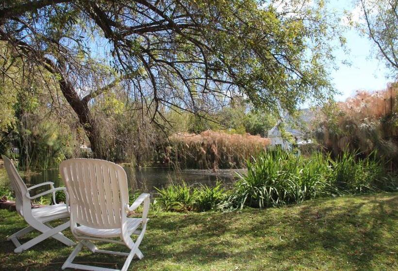 بنسيون The Olive Thrush Cottage