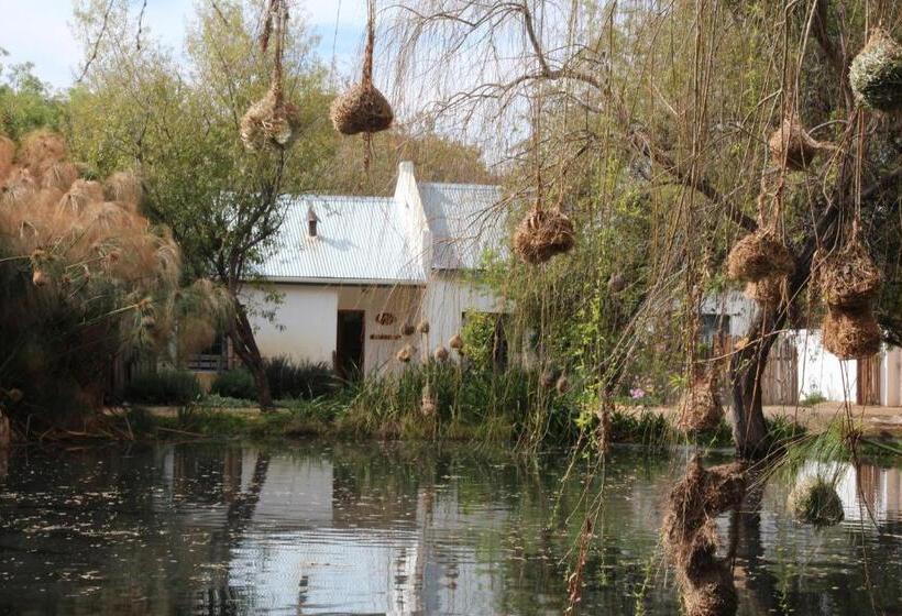 פנסיון The Olive Thrush Cottage