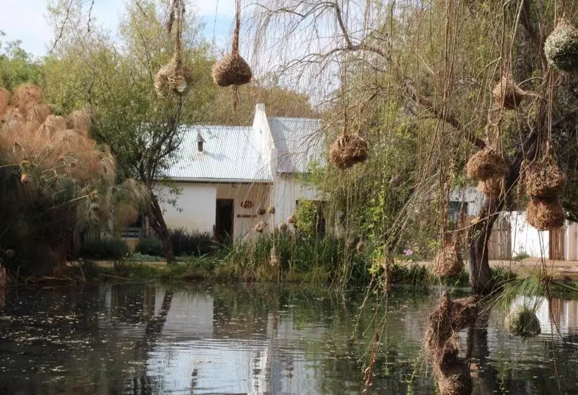 Majatalo The Olive Thrush Cottage