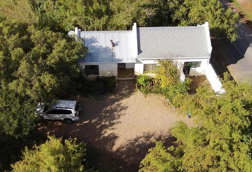 بنسيون The Olive Thrush Cottage