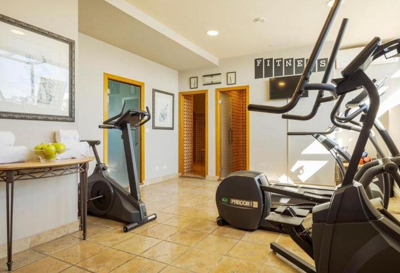 호텔 Ilunion Merida Palace