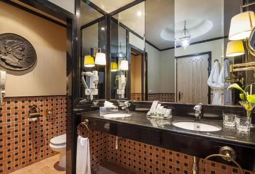 Hotel Ilunion Merida Palace