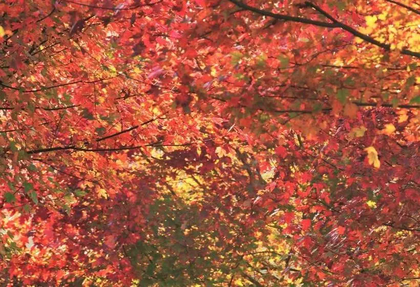 ホテル Palación De Toñanes