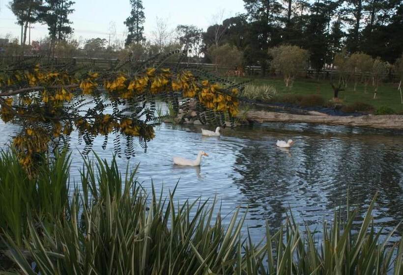 فندق The Peppertree Luxury Accommodation