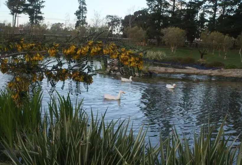 Отель The Peppertree Luxury Accommodation