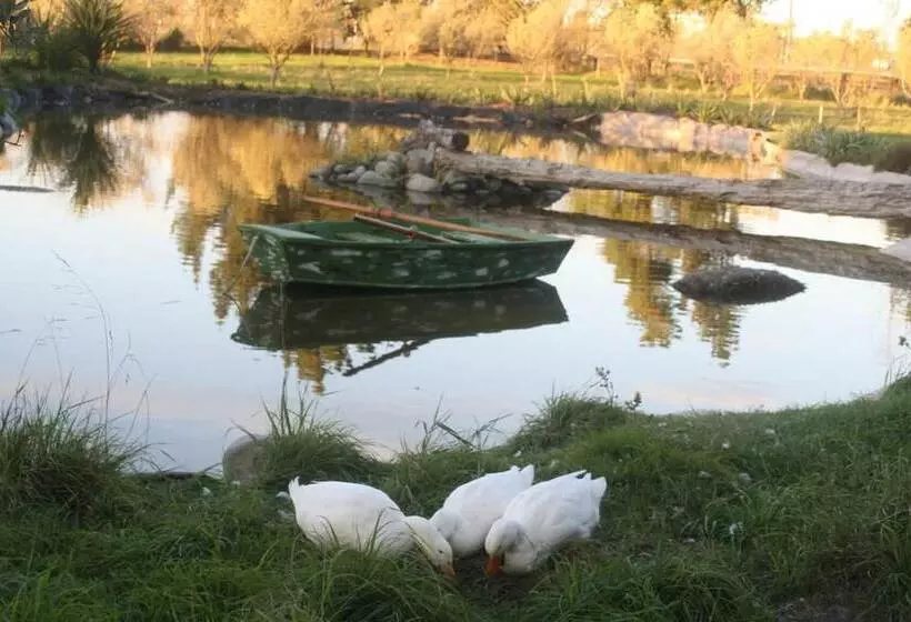 Отель The Peppertree Luxury Accommodation