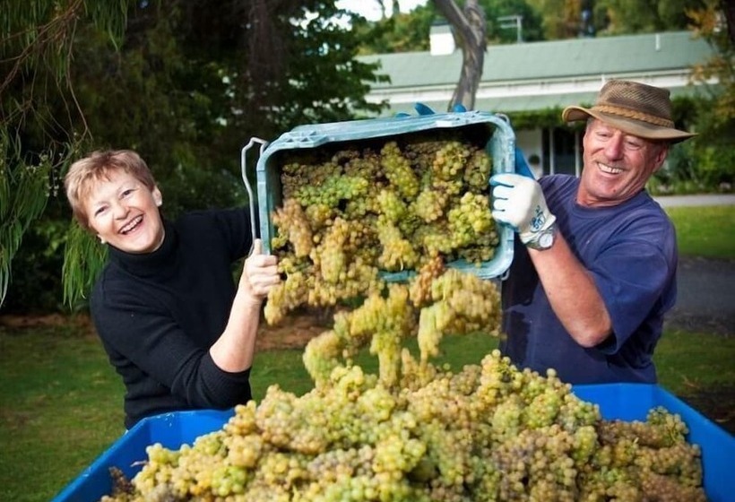 فندق The Peppertree Luxury Accommodation