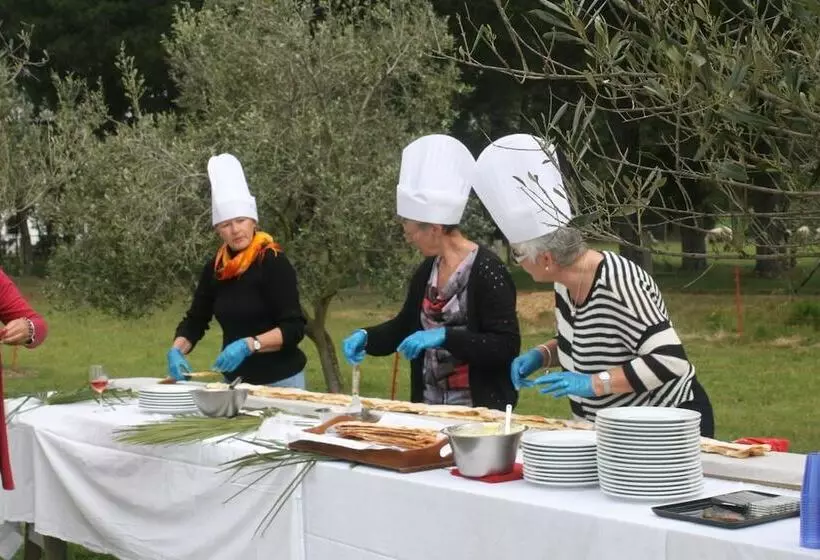 Отель The Peppertree Luxury Accommodation