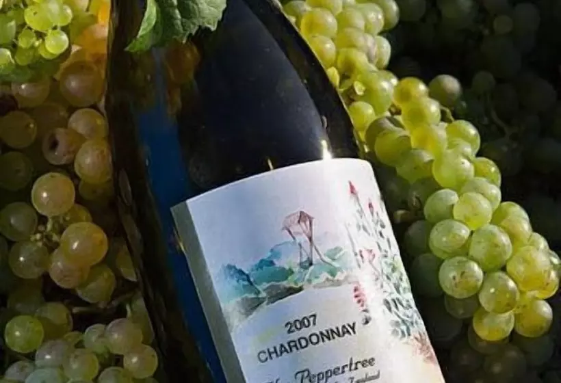 Отель The Peppertree Luxury Accommodation