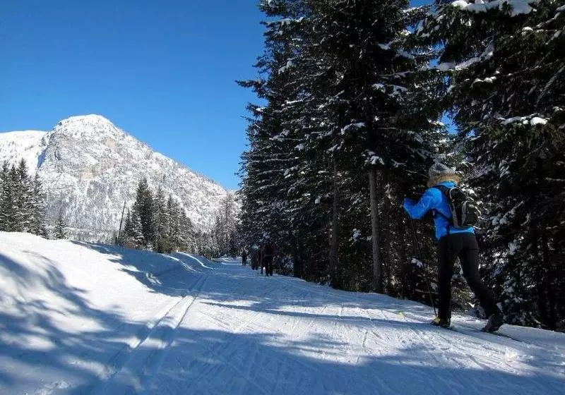 酒店 Tschurtschenthaler