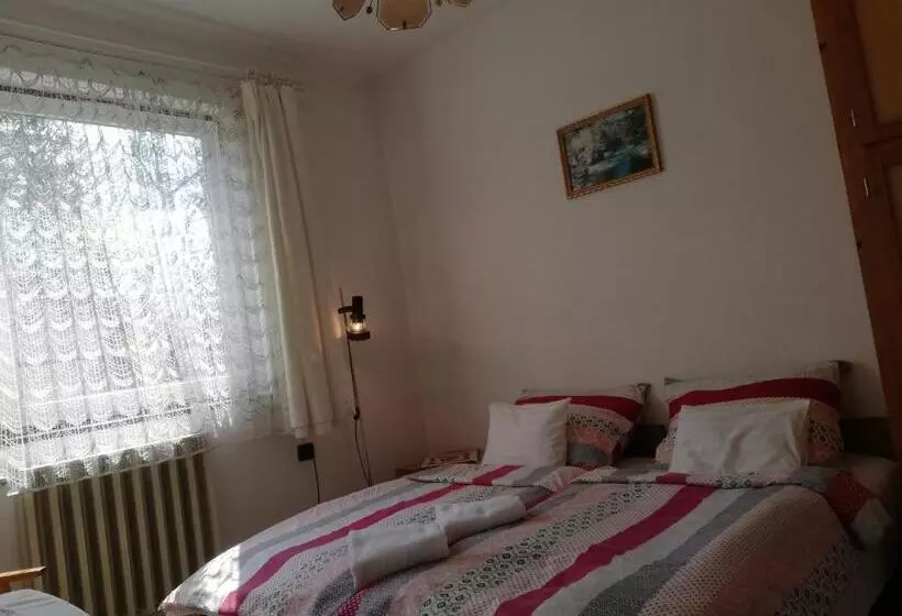 ベッドアンドブレックファースト Székely Szállás