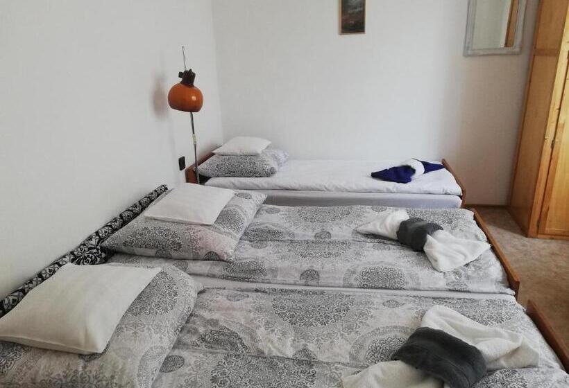 مبيت وإفطار Székely Szállás