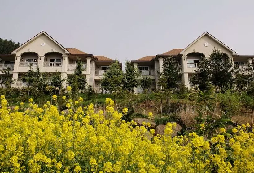 Daea Ulleung Resort