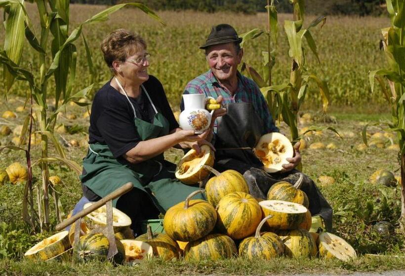 Gartenhotel Kloepferkeller