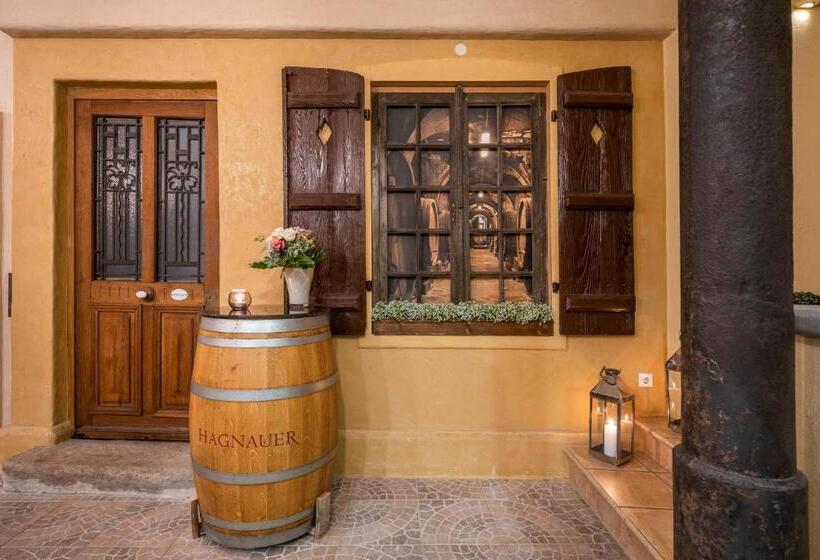 בית מלון כפרי Hagnauer Hof