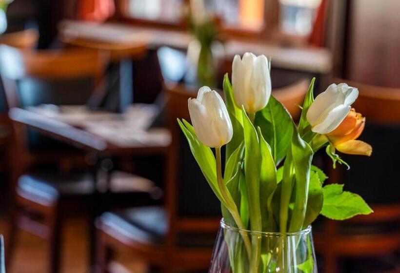 בית מלון כפרי Hagnauer Hof