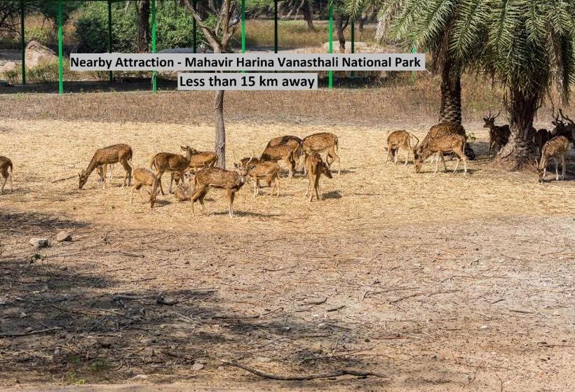 בית מלון כפרי Oyo 70127 Delight Residency