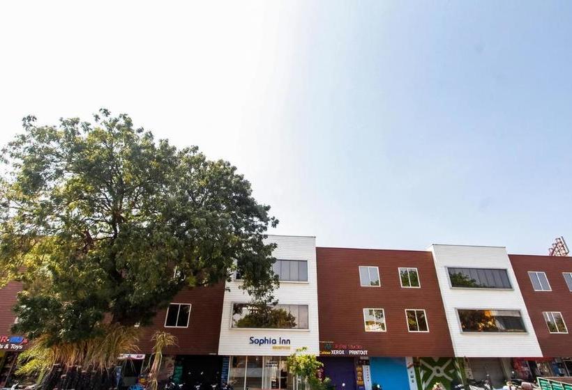 Hotel Oyo 71299 Sophia Inn