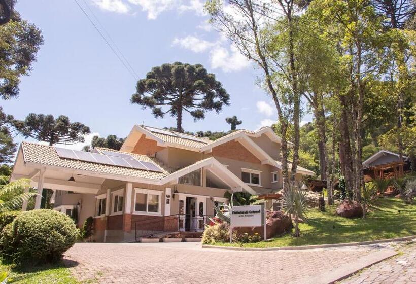 호텔 Cozumel Sierra