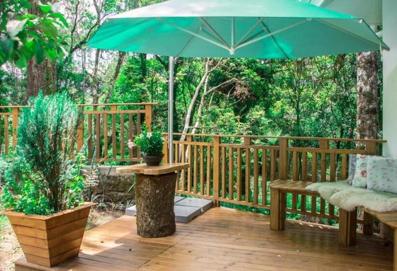 호텔 Cozumel Sierra