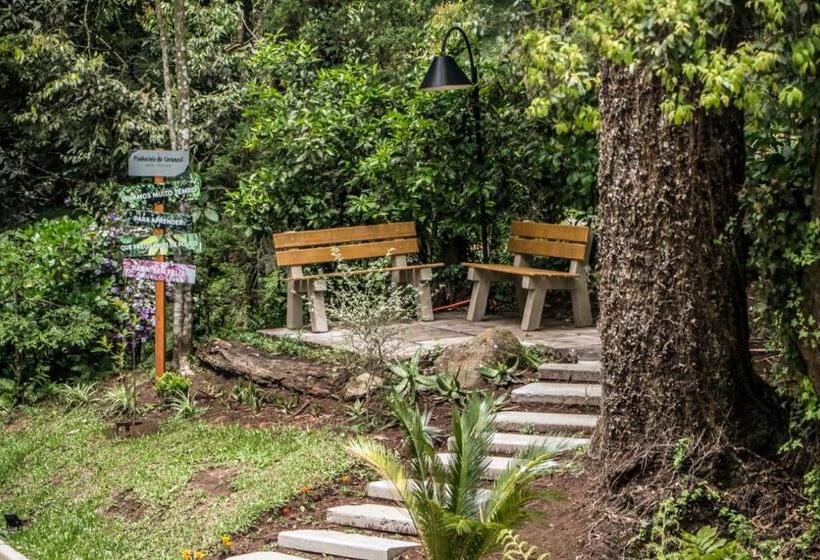 호텔 Cozumel Sierra