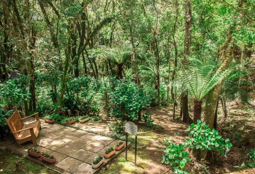 호텔 Cozumel Sierra