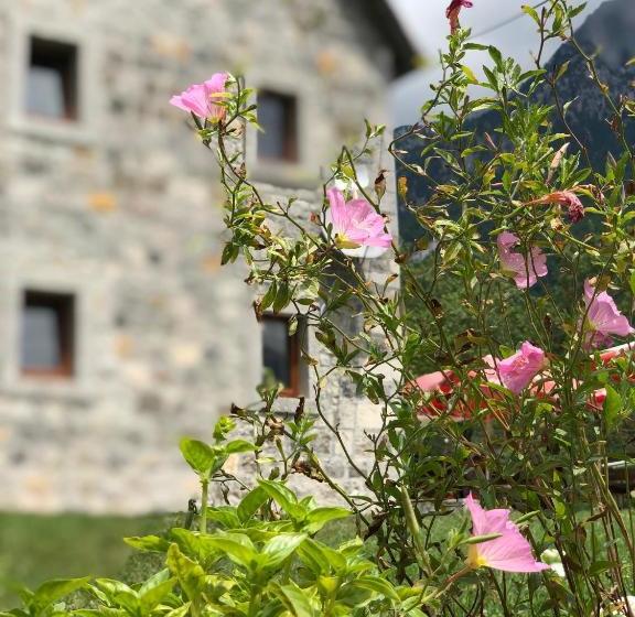 פנסיון Molla Guest House